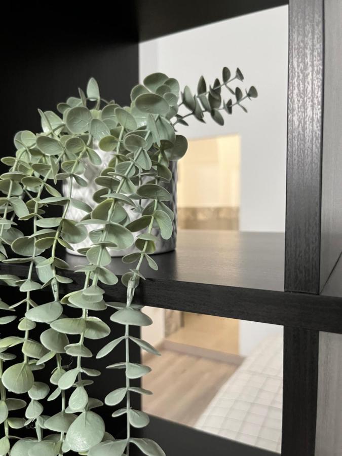 Apartament La Alcoba By Casa De Rosita At-Ba-00215 Fuente del Maestre Zewnętrze zdjęcie